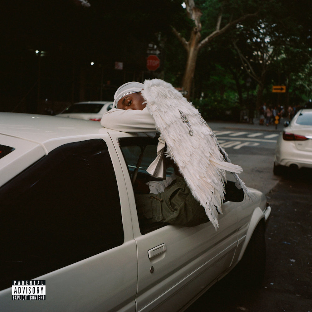 Blood Orange :: Negro Swan