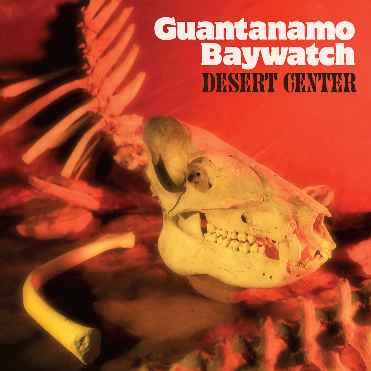 Guantanamo Baywatch :: Desert Center