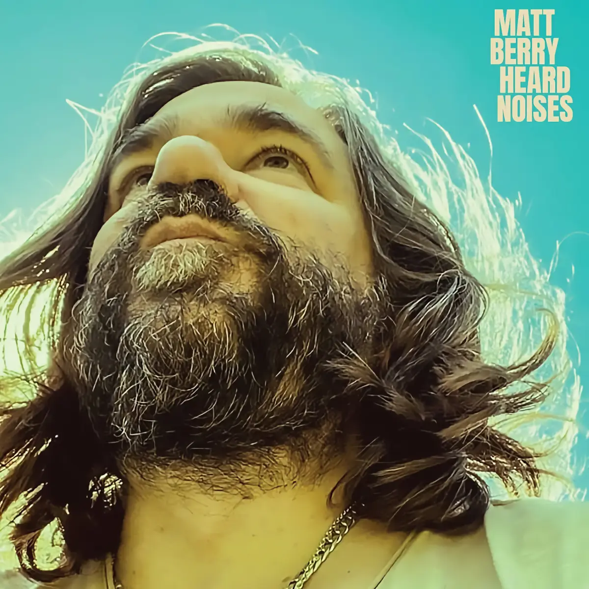 Matt Berry &bull; <i>Heard Noises</i>