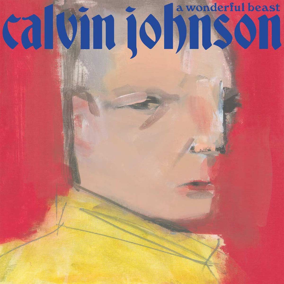 Calvin Johnson &bull; <i>A Wonderful Beast</i>