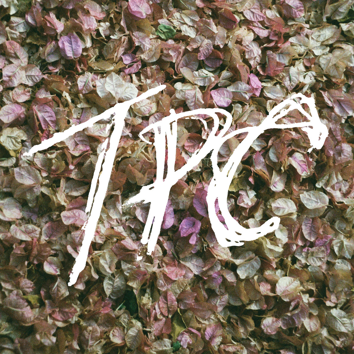 Tokyo Police Club &bull; <i>TPC</i>