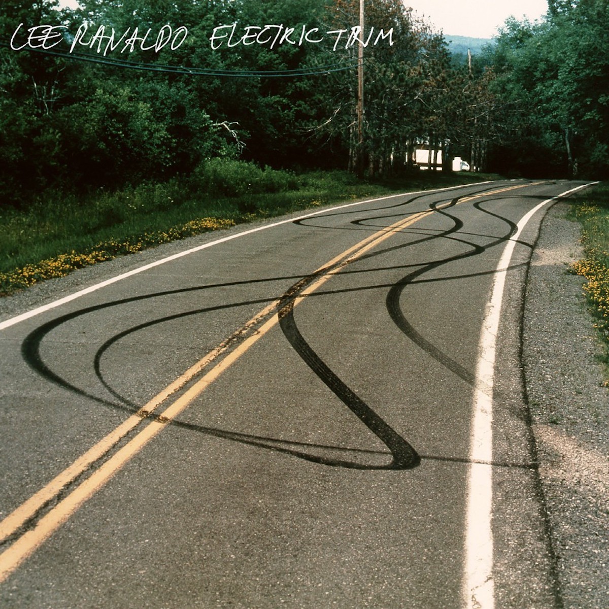 Lee Ranaldo &bull; <i>Electric Trim</i>