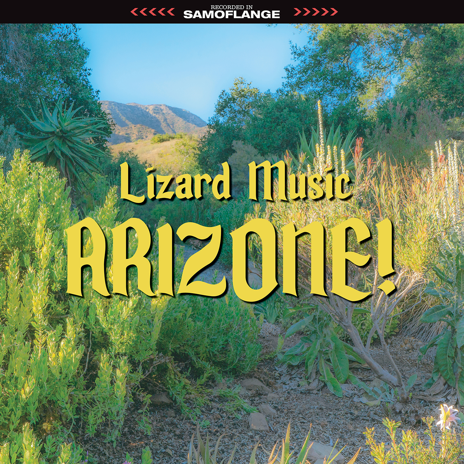 Lizard Music &bull; <i>Arizone!</i>