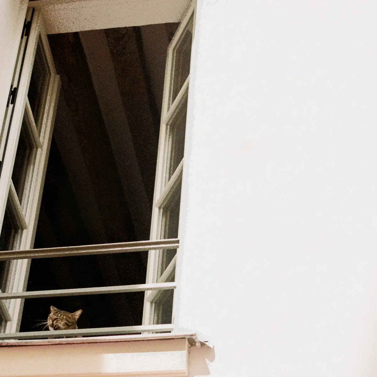Mhaol &bull; <i>Something Soft</i>